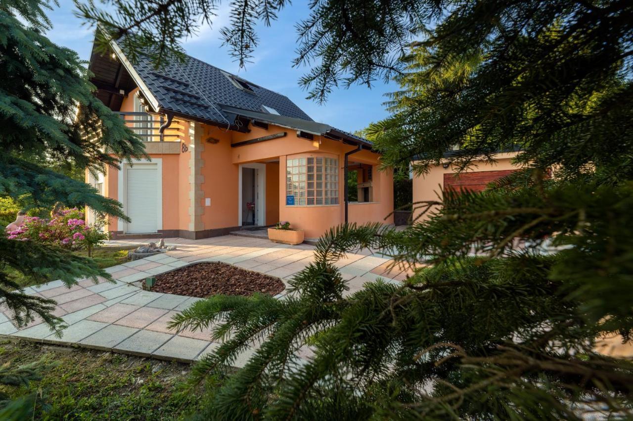 Villa Tratea - With A Heated Pool Tomici المظهر الخارجي الصورة